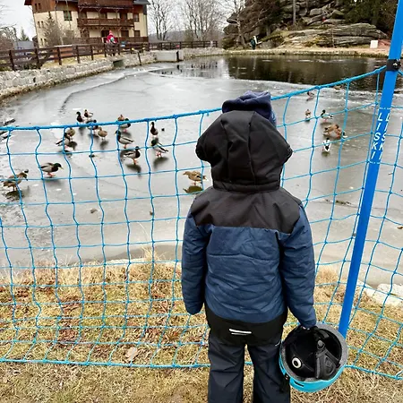 Szept Potoku 斯克拉斯卡波伦巴