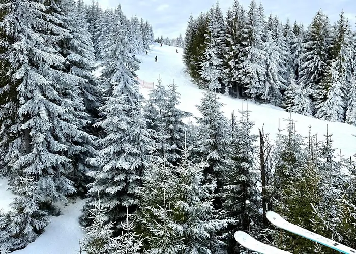 Апартаменты Szept Potoku *