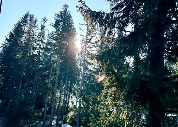 Szept Potoku Апартаменты *