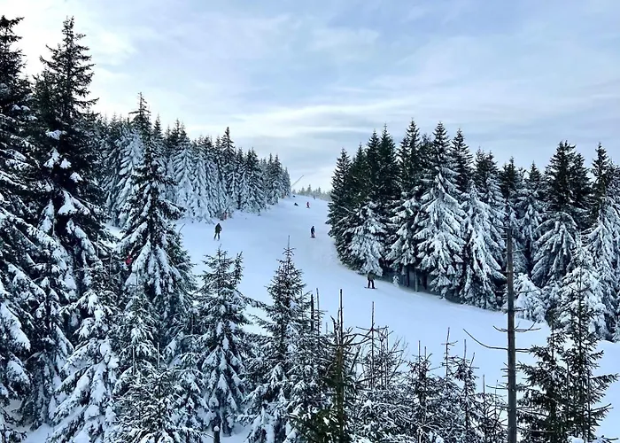 Апартаменты Szept Potoku Шклярска-Поремба