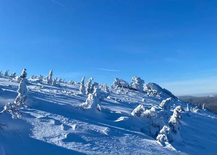Szept Potoku Апартаменты Шклярска-Поремба