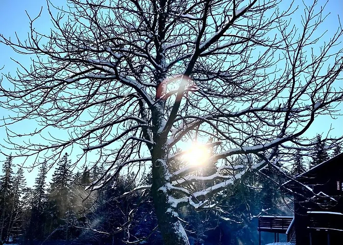 Szept Potoku Апартаменты